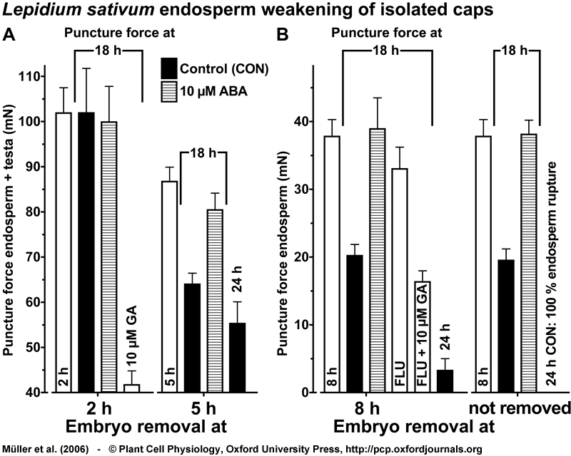 Embryo signal for Lepidium endosperm weakening can be replaced by GA