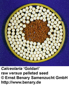 pelleted seed