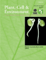 Ethylene and pea seed germination