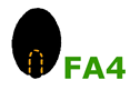 FA4 seed type